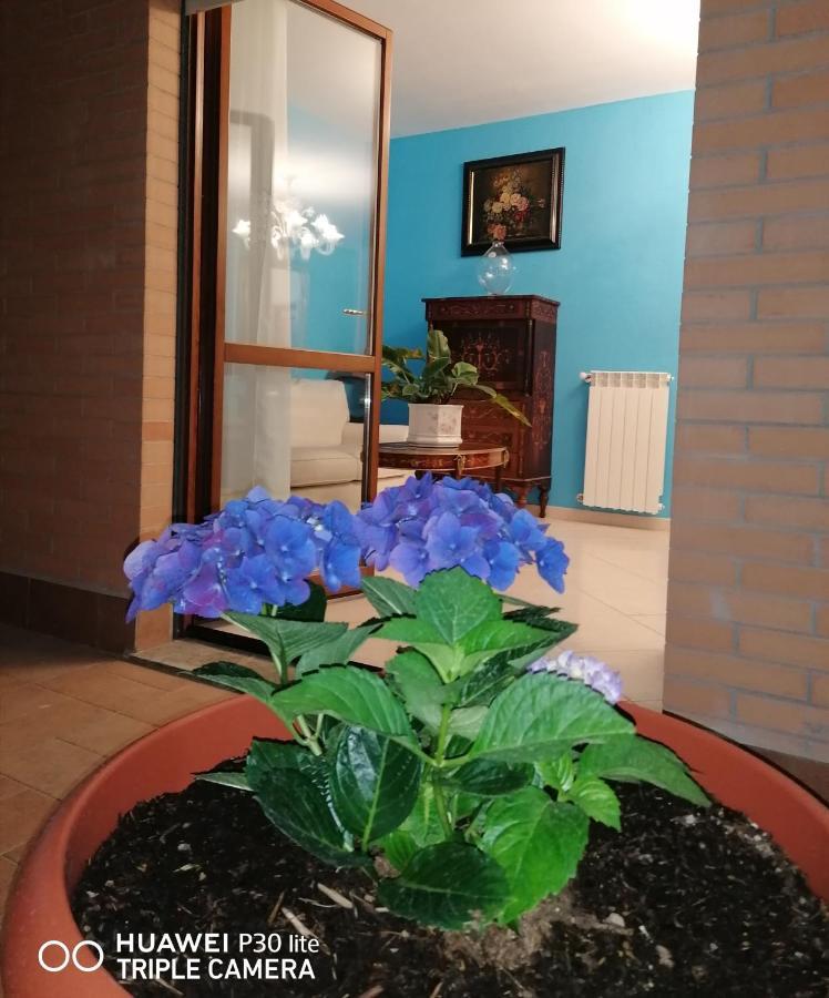 B&Byanet'S Beautiful House Civitavecchia Ngoại thất bức ảnh