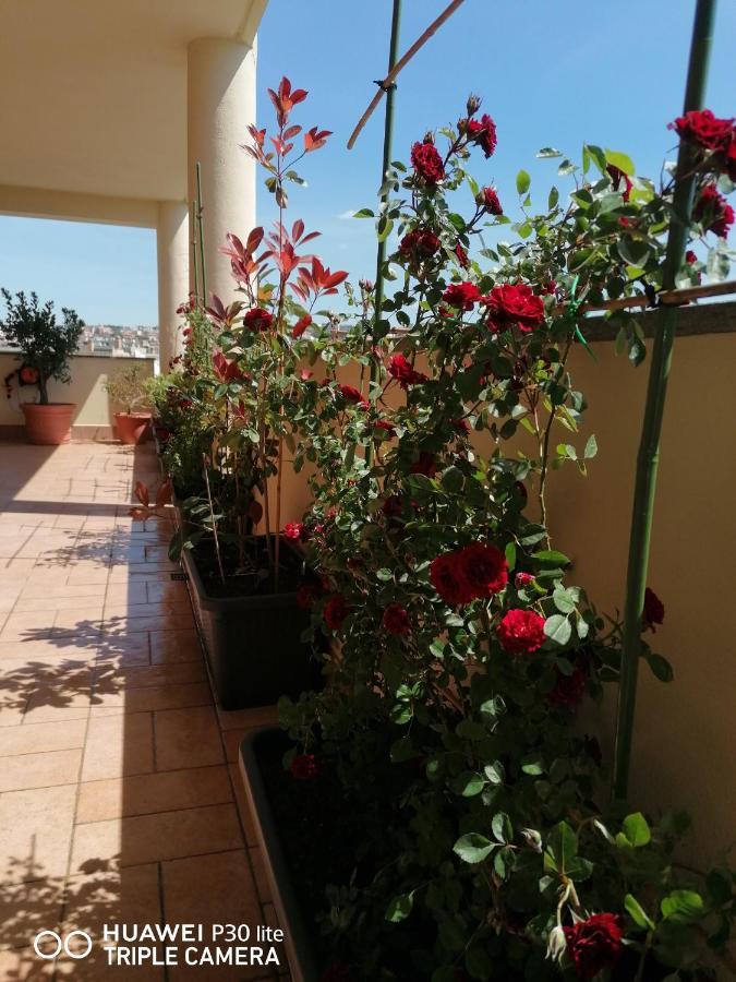 B&Byanet'S Beautiful House Civitavecchia Ngoại thất bức ảnh